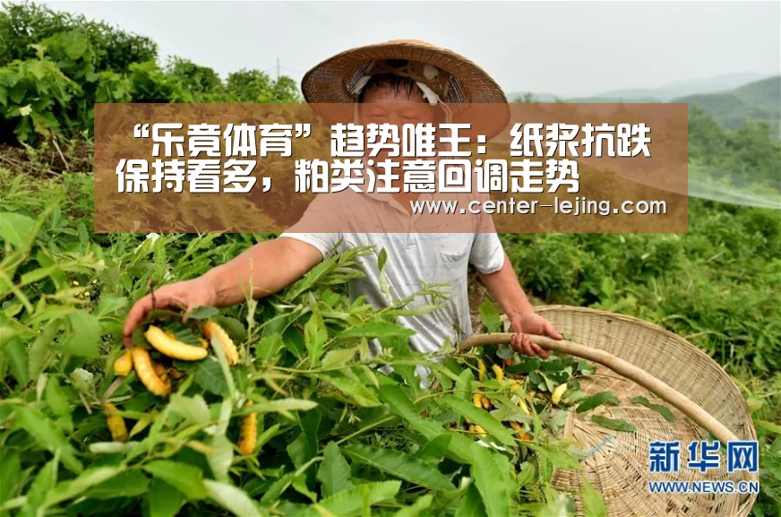 “乐竟体育”趋势唯王：纸浆抗跌保持看多，粕类注意回调走势