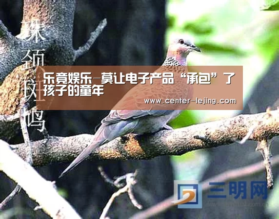 乐竟娱乐-莫让电子产品“承包”了孩子的童年(图2) 乐竟棋牌