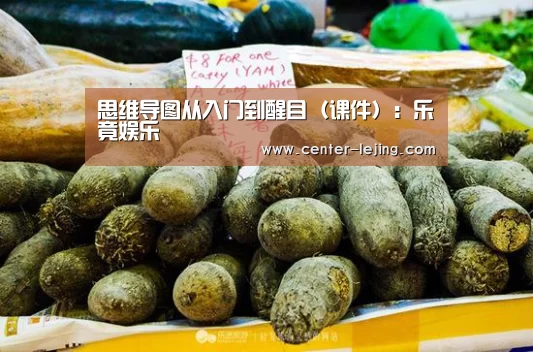 
思维导图从入门到醒目（课件）：乐竟娱乐