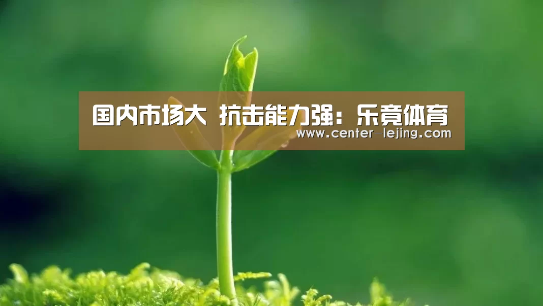 国内市场大 抗击能力强:乐竟体育(图2) 乐竟体育