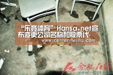 “乐竟体育”Hansa.net宣布变更公司名称和股票代码