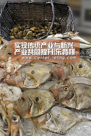 乐竟棋牌