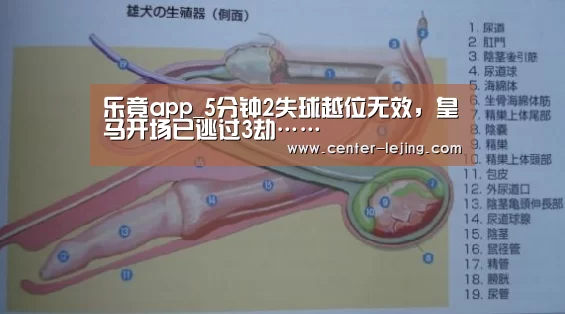 乐竟app_5分钟2失球越位无效，皇马开场已逃过3劫……