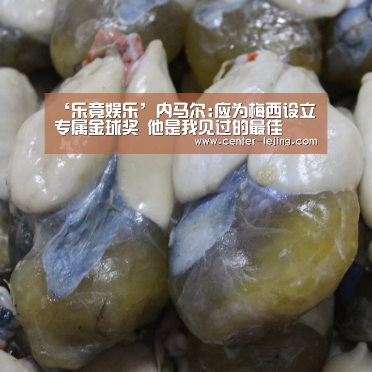 乐竟棋牌
